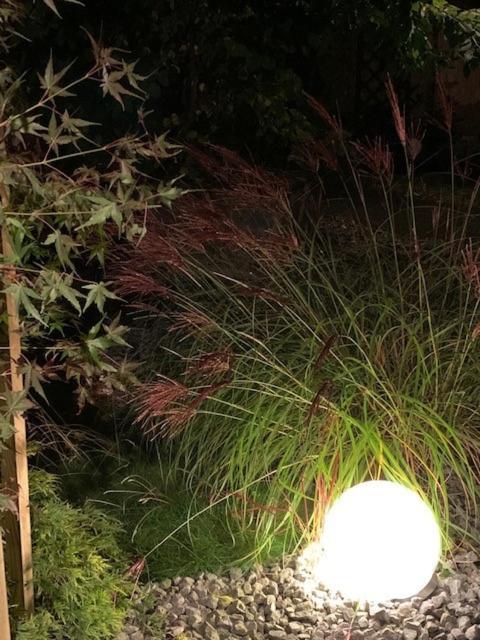 Boehmerwald Pur2 霍赫菲希特山麓克拉弗尔 外观 照片